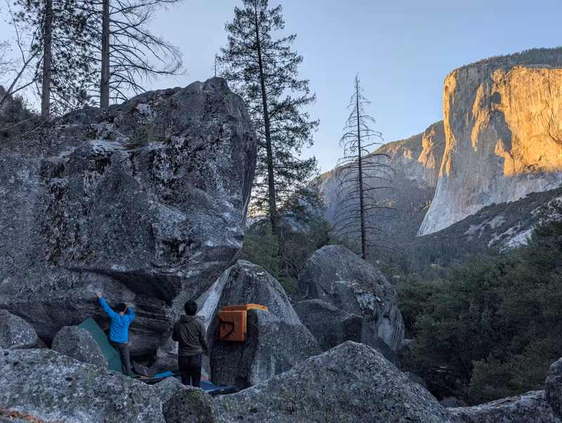 pulling on dying of the light